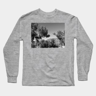 Trees in the desert Long Sleeve T-Shirt